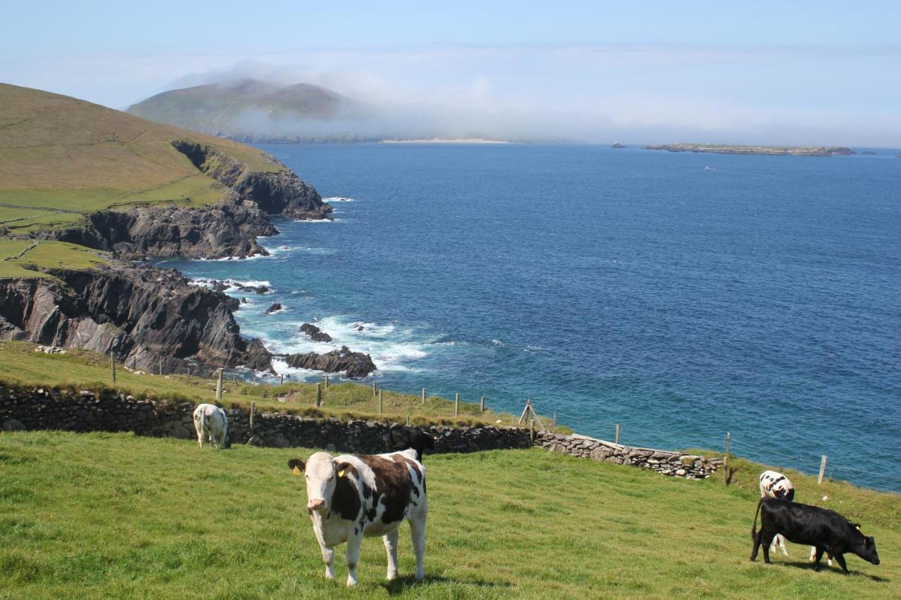 Dingle Courtyard Holiday Homes 3 Bed By Trident Holiday Homes Exteriör bild